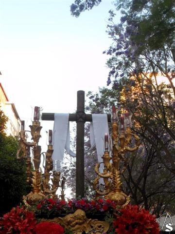 mayo juncal